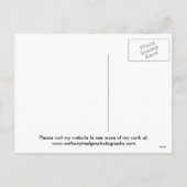 Weihnachtsfeiertag Feiertagspostkarte (Rückseite)