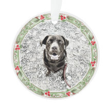 Weihnachtsfeiertag Foto