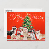Weihnachtsfeiertag Hund liebt fröhliche Weihnachts Postkarte (Vorne/Hinten)
