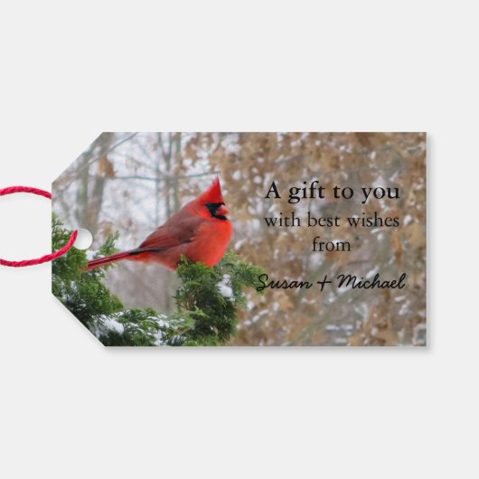 Weihnachtsfeiertag Kardinal Geschenkmarken Geschenkanhänger (Rückseite Horizontal)