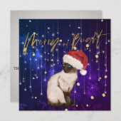 Weihnachtsfeiertag Lila Cat Santa Grieß (Vorne/Hinten)