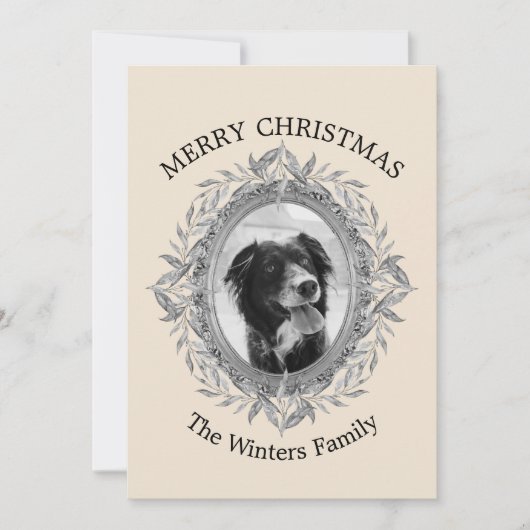 Weihnachtsfeiertag Silber Rahmen Foto Feiertagskarte (Vorderseite)