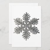 Weihnachtsfeiertag Silber Snowflake Star Design Feiertagskarte (Vorne/Hinten)