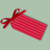 Weihnachtsfeiertag Wasserfarbe Merry Mistletoe Nie Geschenkanhänger