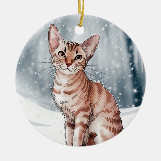 Weihnachtsfeiertag Weihnachten Weihnachten Keramik Ornament (Vorne)