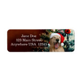 Weihnachtsfeiertage Goldene Retriever Custom (Vorne)