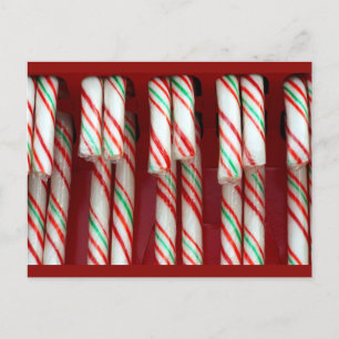 Weihnachtsfeiertags-Festliche Zuckerrohre Feiertagspostkarte
