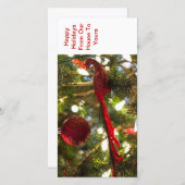 Weihnachtsfeiertags-Grußkarten Feiertagskarte (Vorne/Hinten)