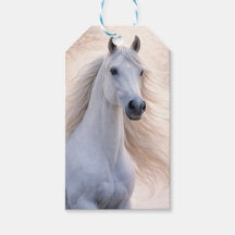 Weihnachtsferien Schönes Pferd und Schnee