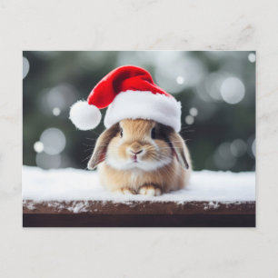 Weihnachtsfest Bunny Postkarte