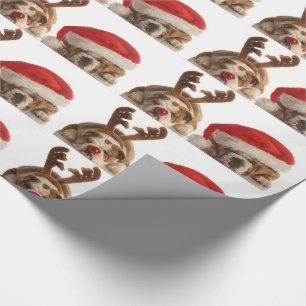 Weihnachtsfest Hunde Weihnachten Kostüm Geschenkpapier