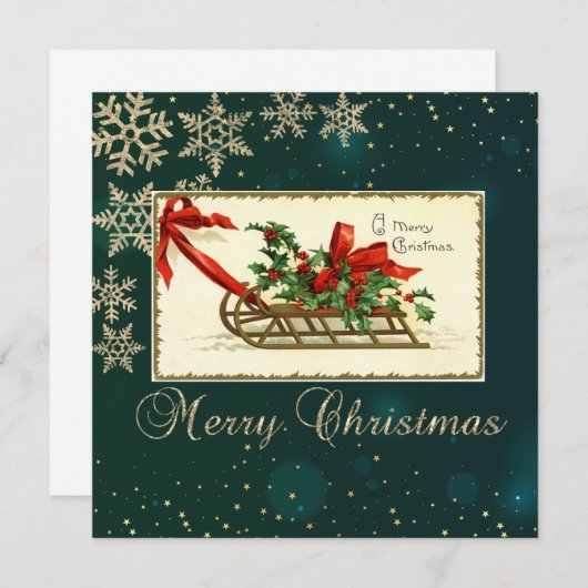 Weihnachtsfest, Mistletoe Schneeflocken (Vorne/Hinten)