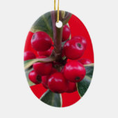 Weihnachtsfest mit Holly Ornament (Hinten)