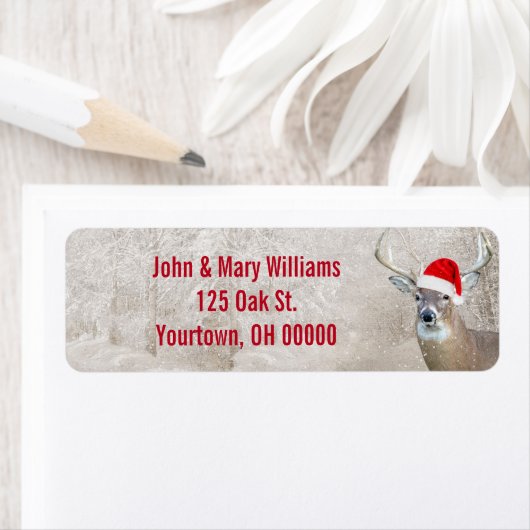 Weihnachtsfest mit Weihnachtsmannmütze (Insitu)