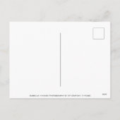 Weihnachtsfest Pfefferminz harte Bonbons Feiertagspostkarte (Rückseite)