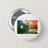 Weihnachtsfest-Rose Button (Vorne & Hinten)