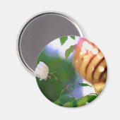 Weihnachtsfest-Rose Magnet (Vorderseite/Rückseite)