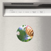 Weihnachtsfest-Rose Magnet (In Situ (Geschirrspüler))