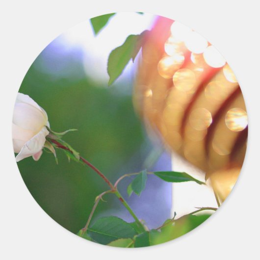 Weihnachtsfest-Rose Runder Aufkleber (Vorderseite)