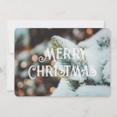 Weihnachtsfichtenzweig und Winterlichter Karte (Vorderseite)