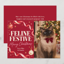 Weihnachtsfoto mit festlicher Katze
