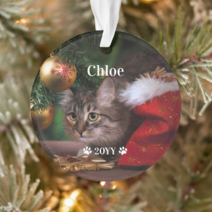 Weihnachtsfoto mit individuellem Namen und Jahr Ornament