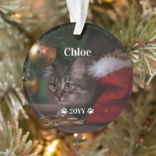 Weihnachtsfoto mit individuellem Namen und Jahr Ornament