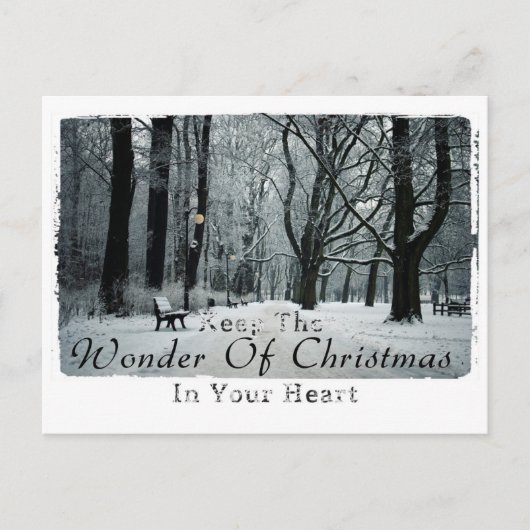 Weihnachtsfotografie Postkarte (Vorderseite)