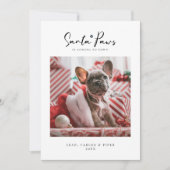 Weihnachtsfotokarte "Santa Paws" (Vorderseite)