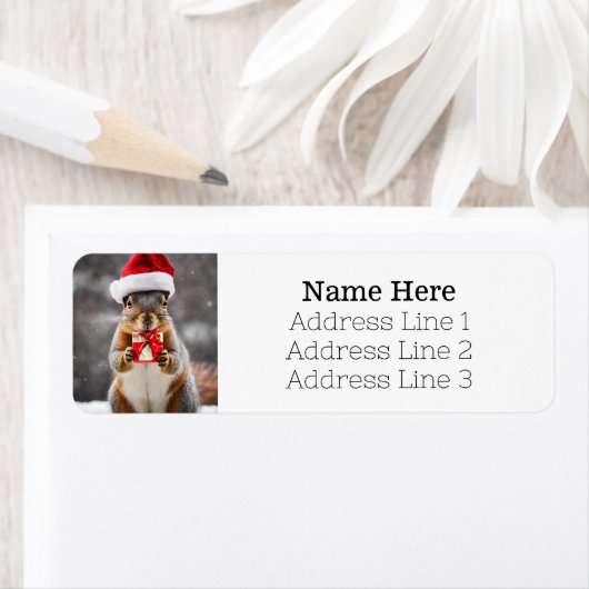 Weihnachtsfox-Eichhörnchen-Weihnachtsmannmütze Rüc (Insitu)