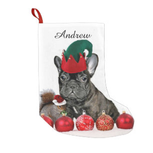 Weihnachtsfranzösische Bulldogge Kleiner Weihnachtsstrumpf
