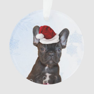 Weihnachtsfranzösische Bulldogge Ornament