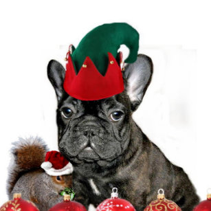Bulldogge Weihnachtschmuck Zazzle De