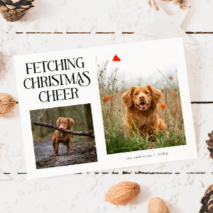 Weihnachtsfreude bringender White Dog Foto Feiertagskarte