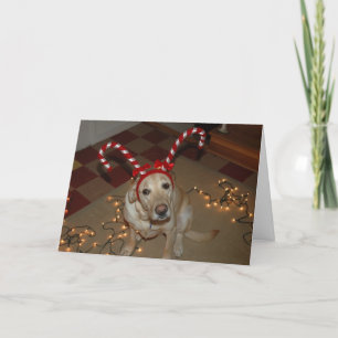 Weihnachtsfreude! Feiertagskarte