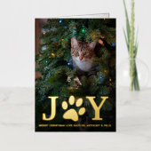 Weihnachtsfreude | Foto für Haustiere (Vorderseite)