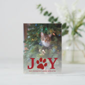 Weihnachtsfreude | Pet Holiday Foto Feiertagspostkarte (Stehend Vorderseite)