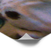 Weihnachtsfreude Poster (Ecke)