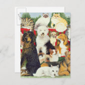 Weihnachtsfrieden Feiertagspostkarte (Vorne/Hinten)