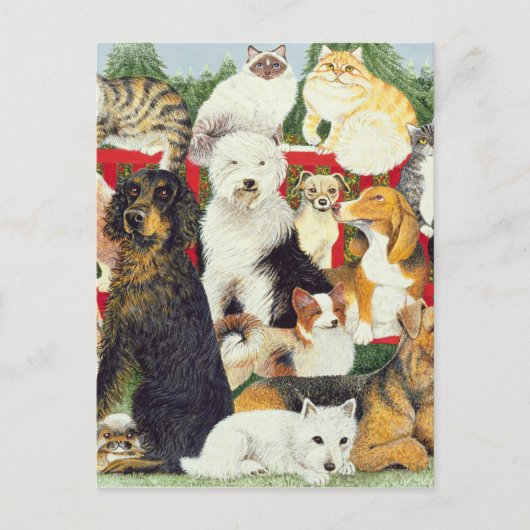 Weihnachtsfrieden Feiertagspostkarte (Vorderseite)