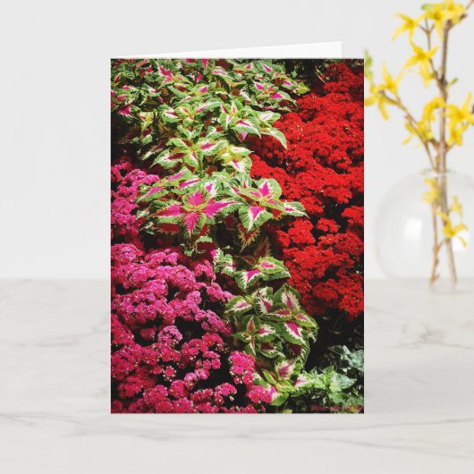 Weihnachtsgarten Eleganz Karte (Gelbe Blume)