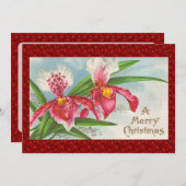 Weihnachtsgebäck Feiertagskarte (Vorne/Hinten)