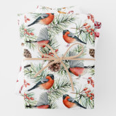 Weihnachtsgeburt Grüne Geschenkpapier Set (Beispiel)