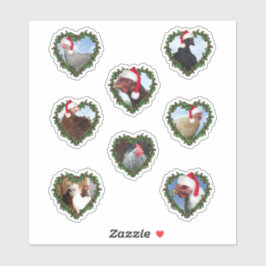 Weihnachtsgeburten Aufkleber