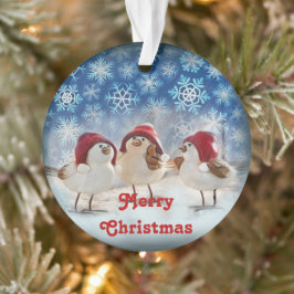 Weihnachtsgeburten Ornament