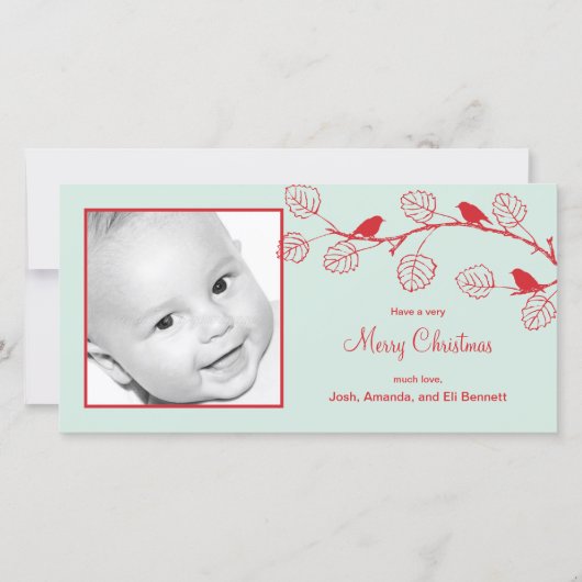 Weihnachtsgeburten Weihnachtsfotokarte Feiertagskarte (Vorderseite)