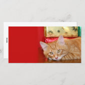 Weihnachtsgeduldigkeit Feiertagskarte (Vorne/Hinten)