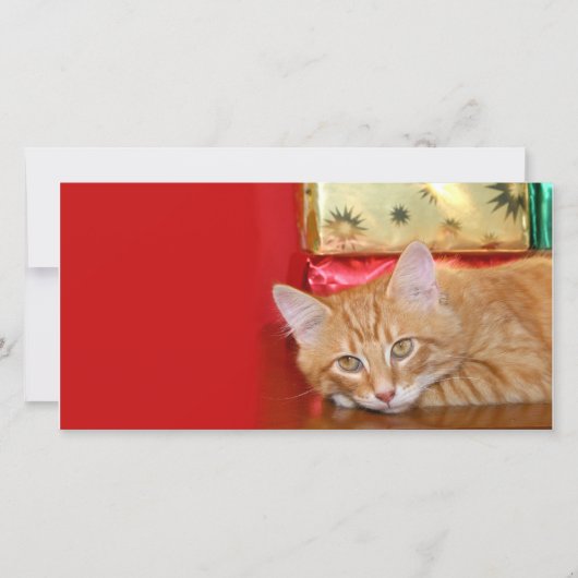 Weihnachtsgeduldigkeit Feiertagskarte (Vorderseite)