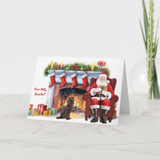 Weihnachtsgeschenk Boykin Spaniel Hund Weihnachten (Vorderseite)