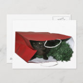 Weihnachtsgeschenk Feiertagspostkarte (Vorne/Hinten)